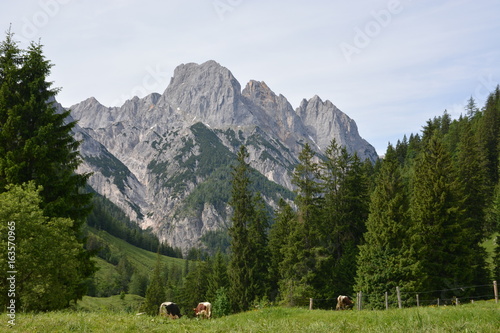 Bavarian Alps