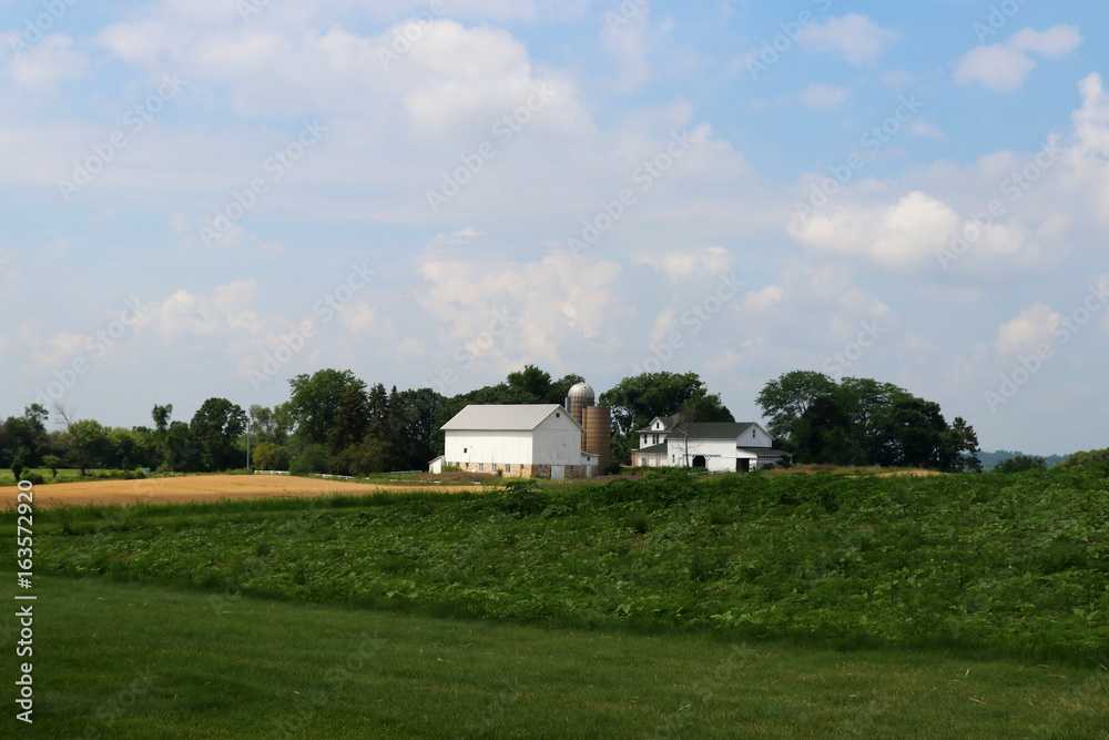 Agriculture, agronomy and farming background. Summer countryside landscape with green field on a foreground and farm buildings against cloudy blue sky. Wisconsin, Midwest USA.