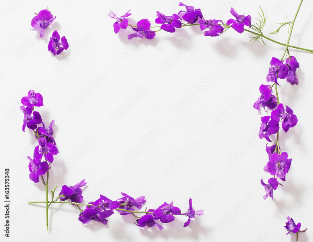 blue summer flowers on white background blue summer flowers on white background