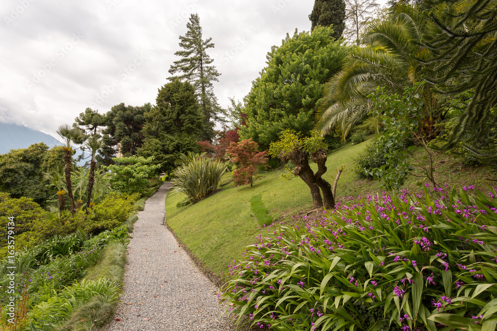 Jardin luxuriant, palmier et fleurs