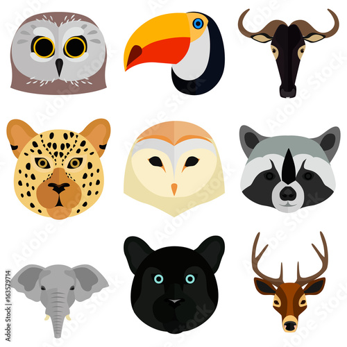Set of animals muzzle color flat icons for web and mobile design