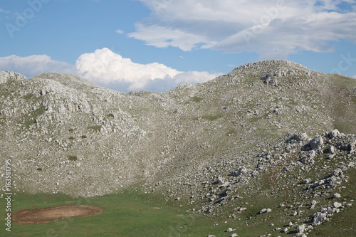 Cavalli liberi sul Monte Cervati, primavera photo