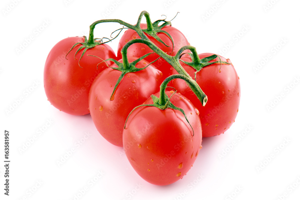 Branch of fresh red tomatoes on isolated white backround Branch of fresh red tomatoes on isolated white backround