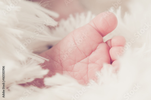 Tiny newborn's foot