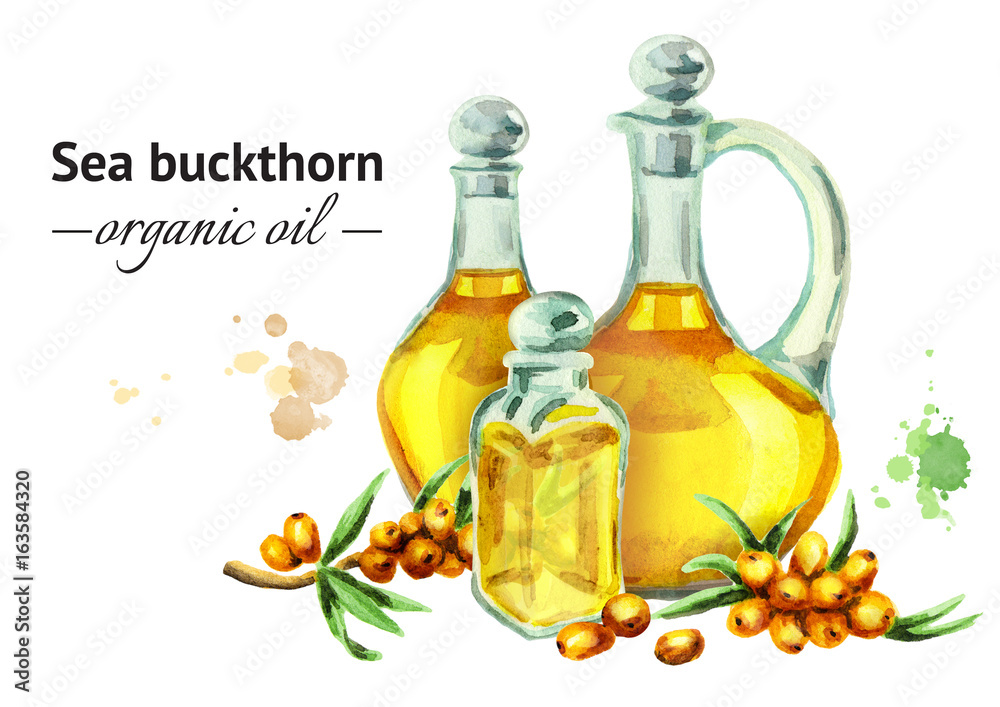 Hand-drawn watercolor composition with bottles of Sea buckthorn organic oil