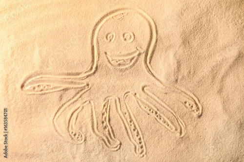 Octopus drawn on sea sand, closeup view