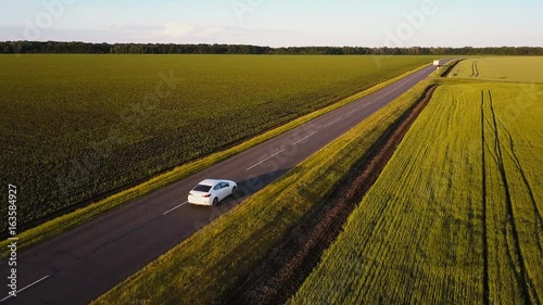 Aerial shot of green countryside and white car driving through. Drone follows vehicle driving though green nature farmland with sunset shining and making beautiful light.