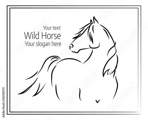 Hand drawn vector illustration of wild horse