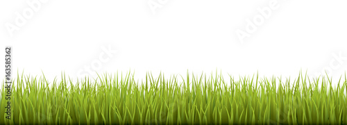 Fresh realistic green grass - vector illustration