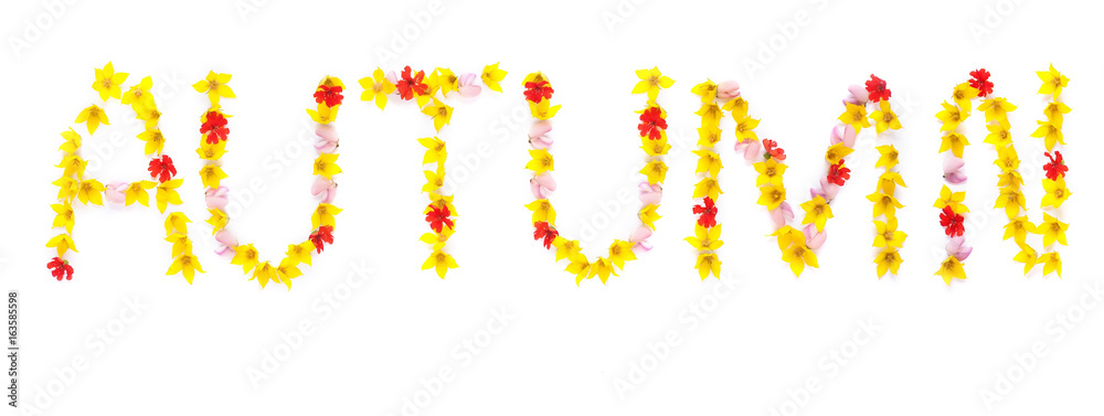 Word AUTUMN written with yellow and red flowers