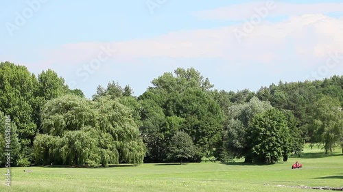 Wallpaper Mural Cutt grass in park. Man sits on tracotr. Lawn Tractors & Riding Mowers Torontodigital.ca