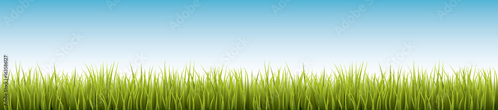 Naklejka Świeża realistyczna zielona trawa - wektorowa ilustracja