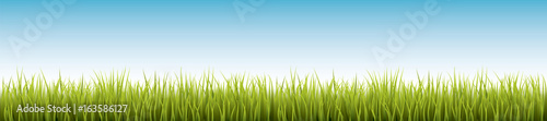 Naklejka Świeża realistyczna zielona trawa - wektorowa ilustracja