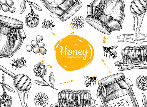 Vector honey hand drawn frame illustrations. Jar, bee, honeycomb