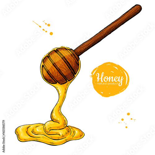 Honey wooden spoon with drop. Hand drawn vector illustration. Artistic style object.