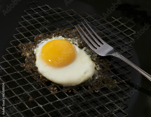 Cage Free Egg DSC_7292