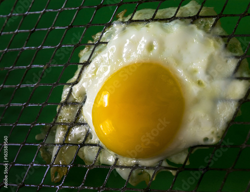 Cage Free Egg DSC_7313