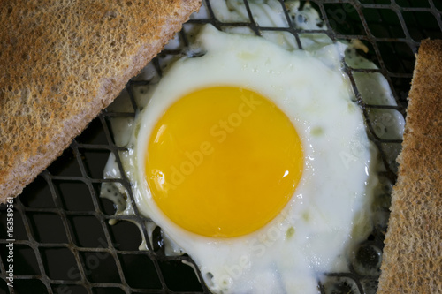 Cage Free Egg DSC_7302