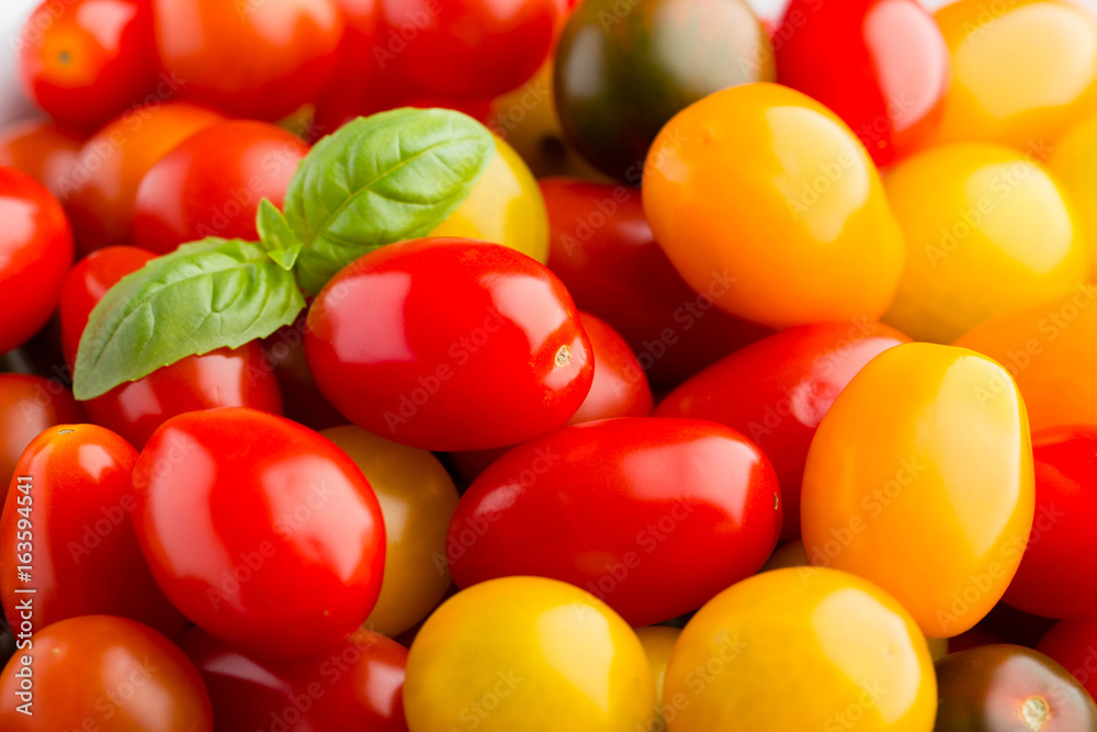 Tomatoes on the gray background. Colorful tomatoes, red tomatoes, yellow tomatoes, orange tomatoes, green tomatoes. Colour tomatoes on the gray background. Tomatoes on the gray background. Colorful tomatoes, red tomatoes, yellow tomatoes, orange tomatoes, green tomatoes. Colour tomatoes on the gray background.