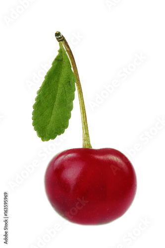cherry with leaf isolated
