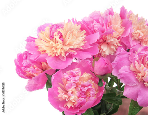 Bouquet of beautiful peonies on white background  closeup