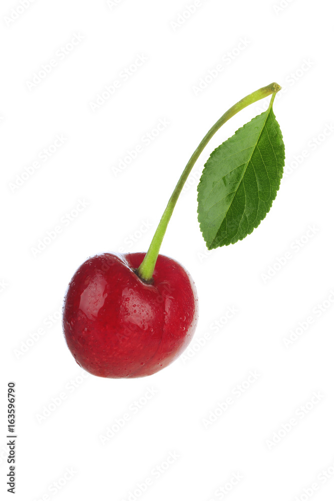 Obraz premium cherry with leaf isolated