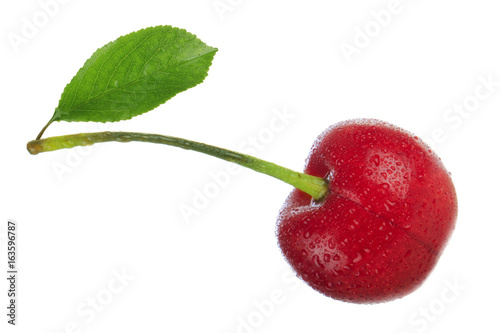 cherry with leaf isolated photo