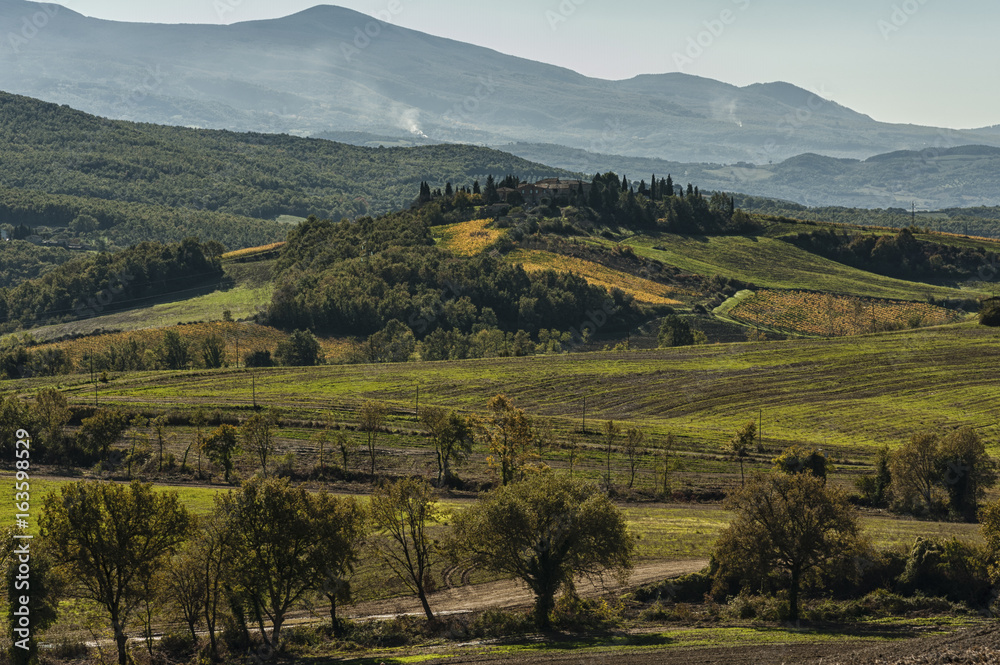 Beautiful tuscan landscape near San Quirico D'Orcia, with rolling hills in autumn. Located in Val D'Orcia countryside - Italy.