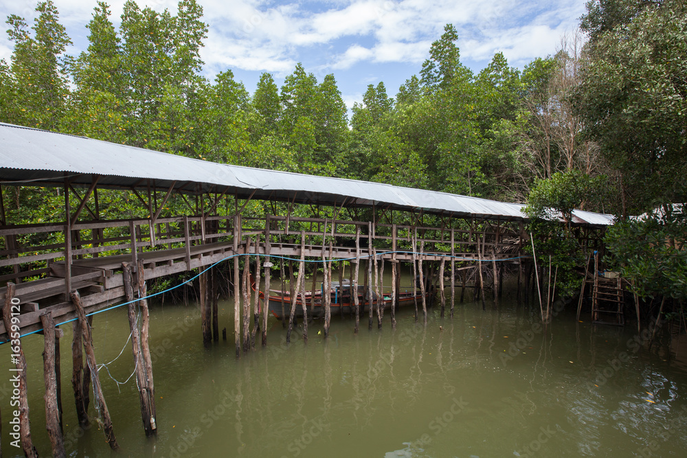 Bridge crossing brackish water in the mangrove forest, Thailand.