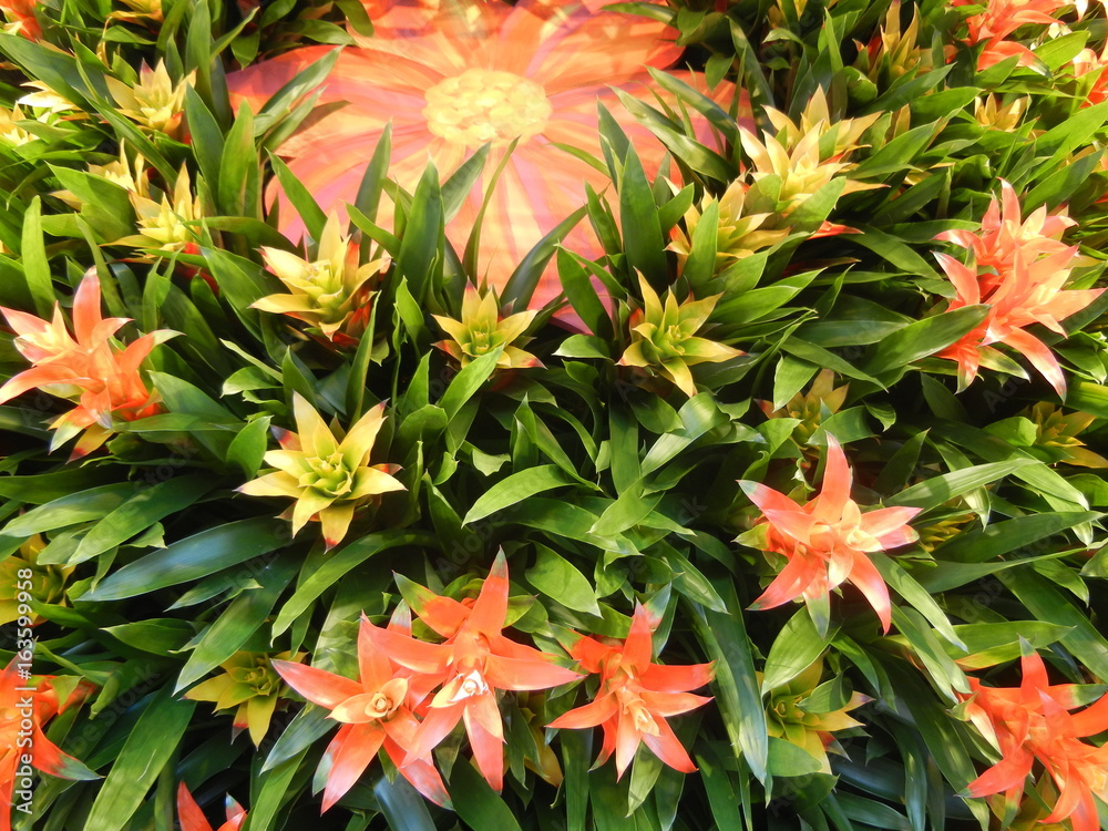 Autumn Flower Arrangement 2 Autumn Flower Arrangement 2