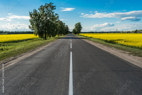 empty asphalt road and floral field of yellow flowers