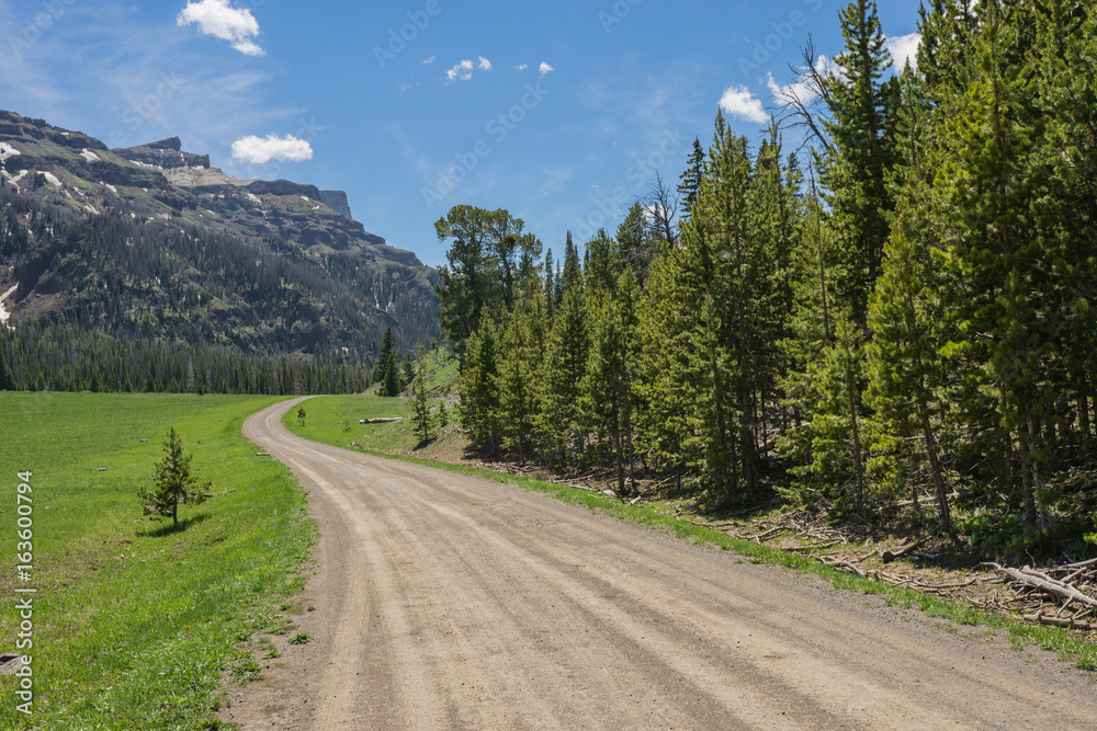 Dirt road leads through a mountain meadow beside a long line of green pine trees. Dirt road leads through a mountain meadow beside a long line of green pine trees.