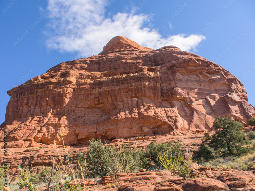 Fototapeta premium Sedona hiking