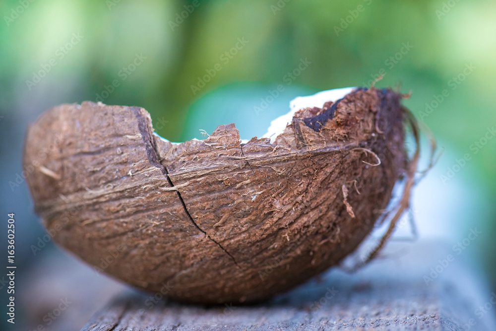 half coconut rests on a wooden cutting board against green background. selective focus macro shot with shallow DOF half coconut rests on a wooden cutting board against green background. selective focus macro shot with shallow DOF