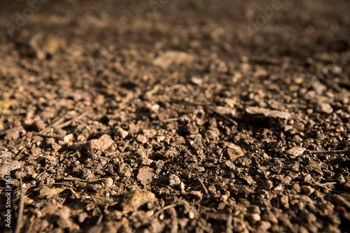 A close up of ground soil