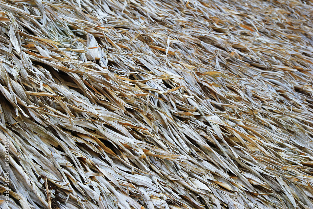 Travel to Chiang Mai, Thailand. A surface of the thatched roof of house for background. Travel to Chiang Mai, Thailand. A surface of the thatched roof of house for background.
