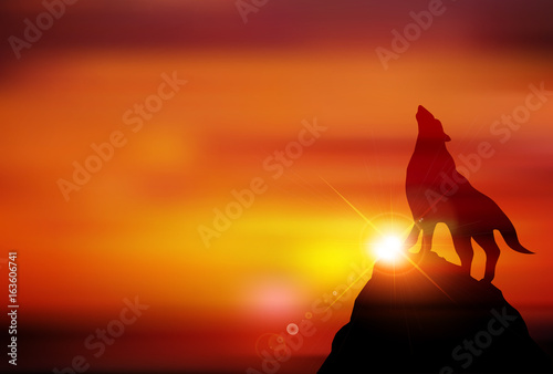 戌　日の出　年賀状　背景