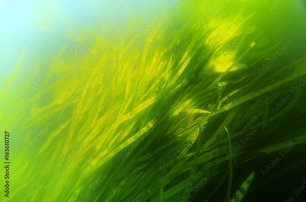 River underwater River underwater