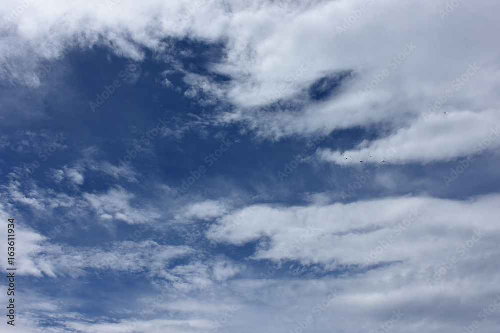 Obraz premium 鳥たちと青空と雲(天空を行く鳥たち)「空想・雲のモンスターたち〔オスのモンスター(上)とメス(中央)、そしてメスの前で子供らが兄弟喧嘩をしているイメージ〕」家族連れ、親子連れ、兄弟喧嘩の仲裁をする親、仲間、愛情、子育て、父性、母性、未来、人生、ライフプランなどのイメージ