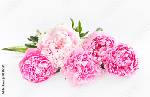 Pink peonies on a light background