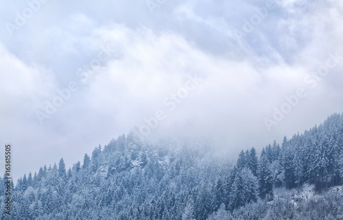 fog in winter mountains