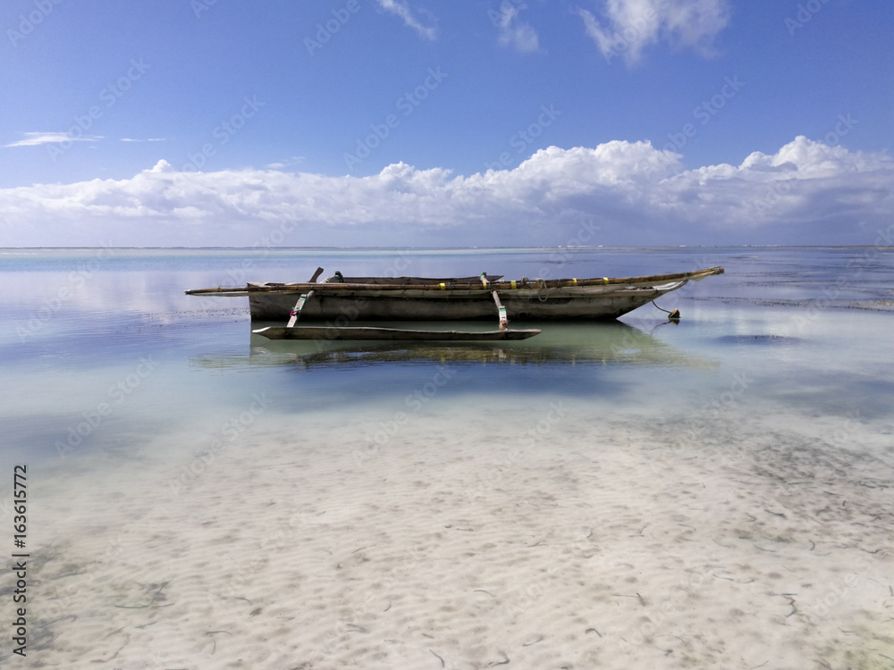 Low Tide In Zanzibar