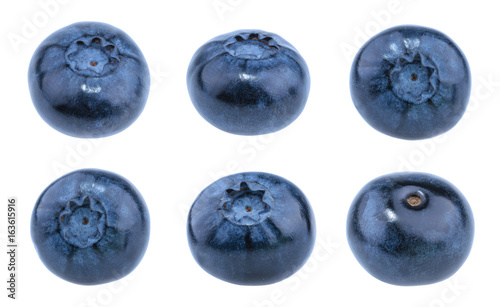 Blueberries isolated on white background without shadow