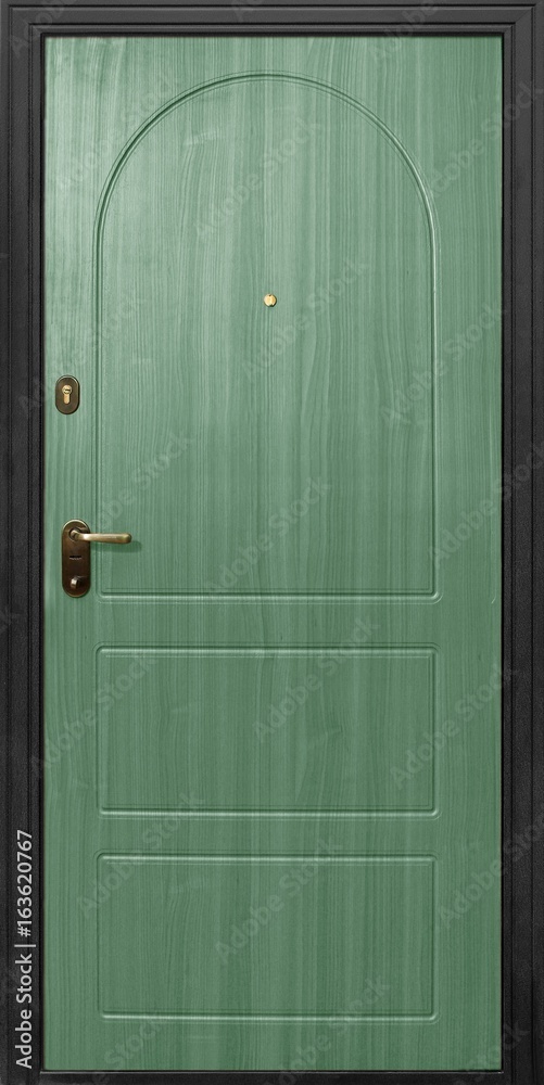 Entrance door (metal door) Entrance door (metal door)