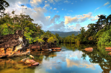 Crédence de cuisine Afrique Rivière tropicale du parc Masoala  © dennisvdwater