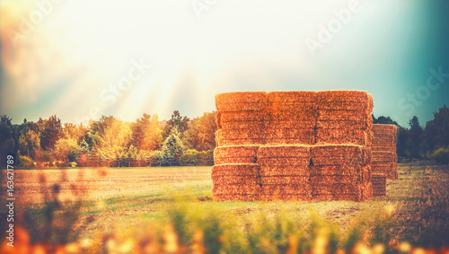 Rural late summer country landscape with wheat haystack or straw bales on field, agriculture farm and farming