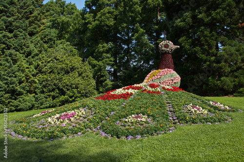 Blumeninsel Mainau bei Konstanz photo