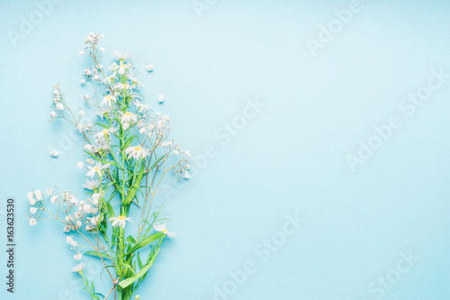 Beautiful turquoise background with bunch of wild daisies flowers, top view, place for text