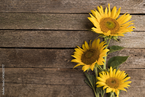 Sunflowers on the old wooden background. Space for text.