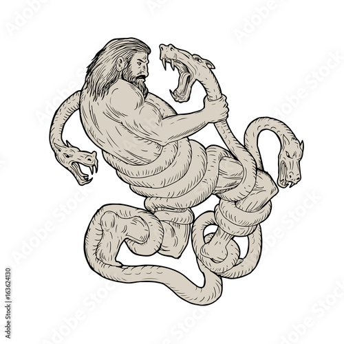 Hercules Fighting  Lernaean Hydra  Drawing photo